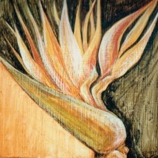 Acrylbild Callas vor grünem Hintergrund